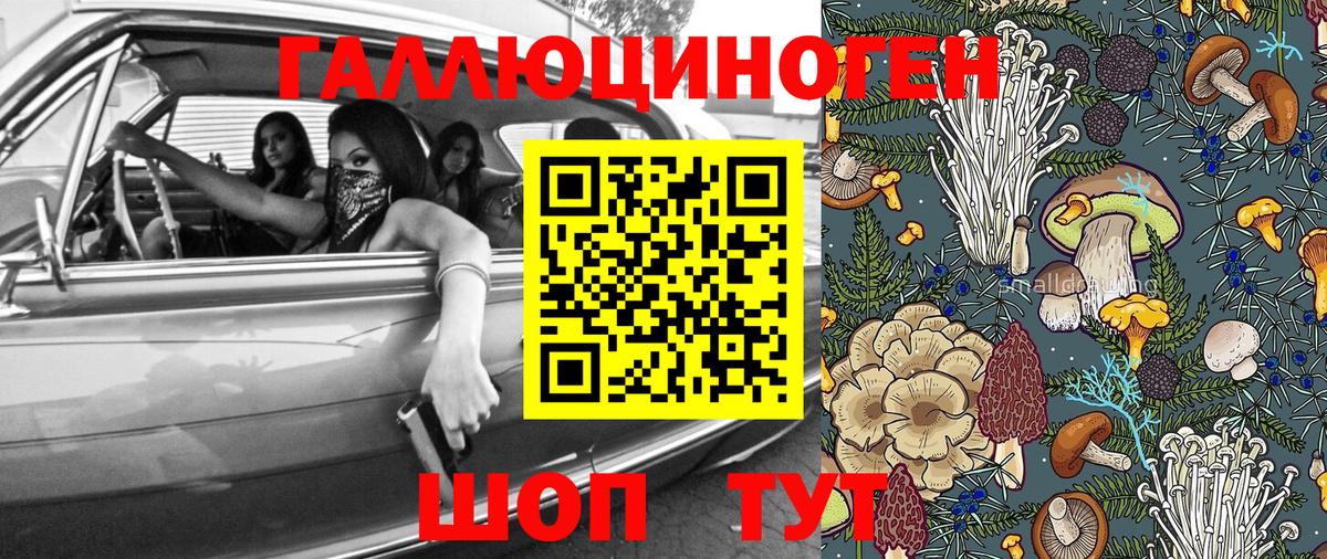 Котовск  Галлюциногенные грибы Psilocybe  Вход с VPN 
